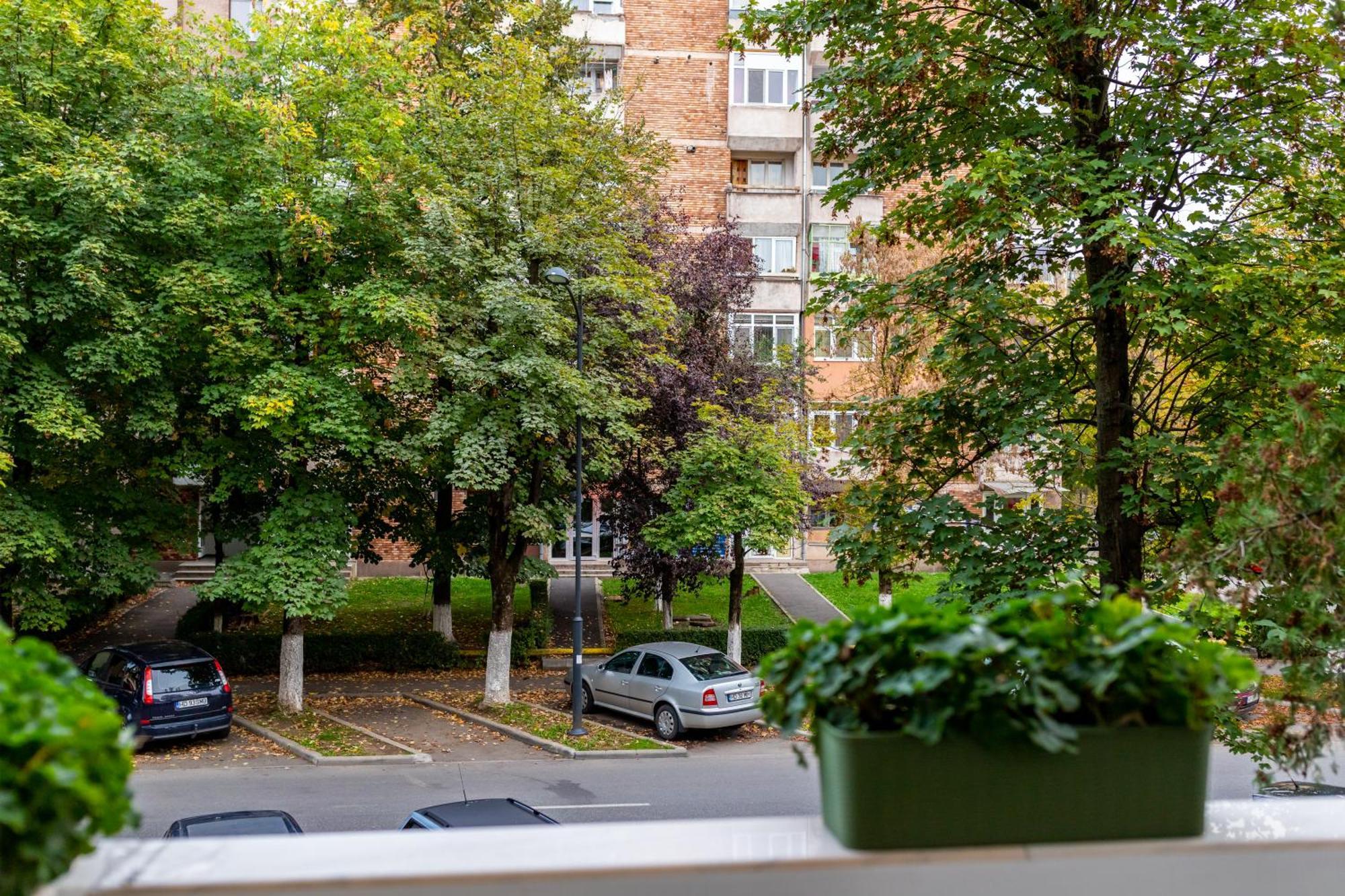Apartament Octavia Hunedoara Dış mekan fotoğraf